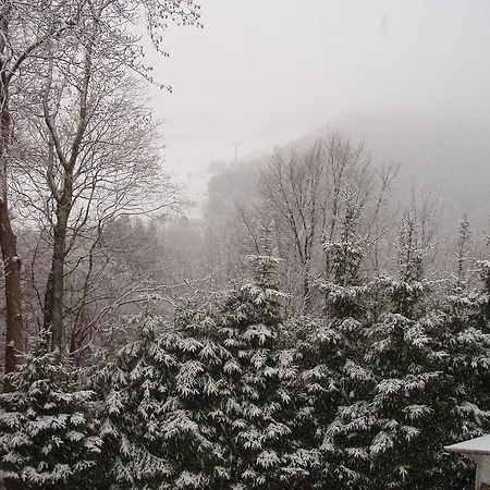 Casa de hóspedes Haus Am Hirschsprung Willingen (Upland)