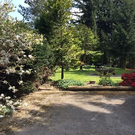 Гостевой дом Haus Am Hirschsprung 3*