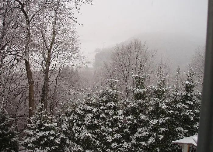 Πανσιόν Haus Am Hirschsprung Willingen (Upland)